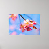 Sakura-Blume, Buds und der blaue Frühlingshimmel Leinwanddruck (Vorderseite)