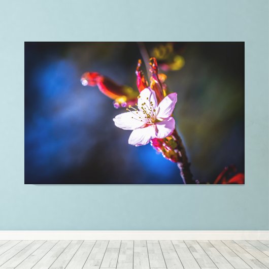 Sakura - Blume der japanischen Kirsche Leinwanddruck (Insitu (Holzboden))