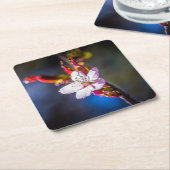 Sakura - Blume der japanischen Kirsche Rechteckiger Pappuntersetzer (angewinkelt)