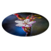 Sakura - Blume der japanischen Kirsche Schneidebrett (Ecke)