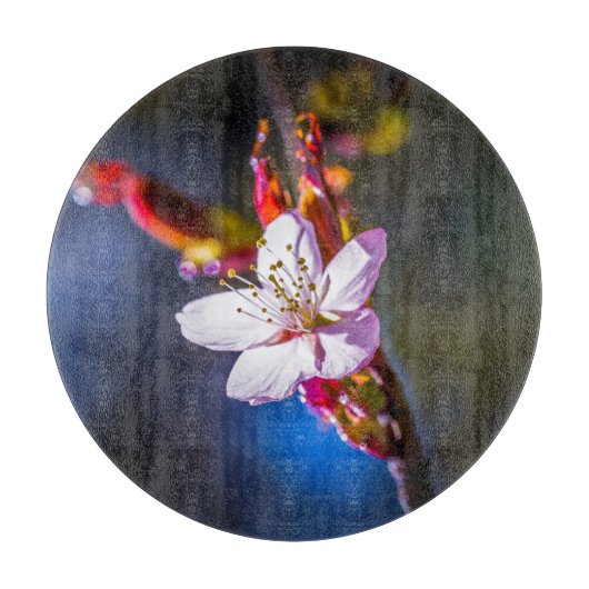 Sakura - Blume der japanischen Kirsche Schneidebrett (Vorderseite)