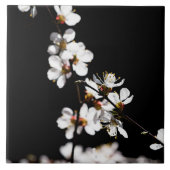 Sakura-Blume Fliese (Vorderseite)