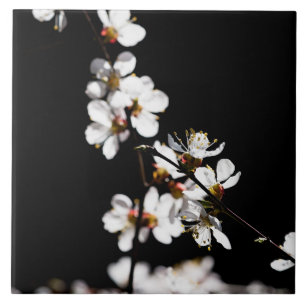 Sakura-Blume Fliese