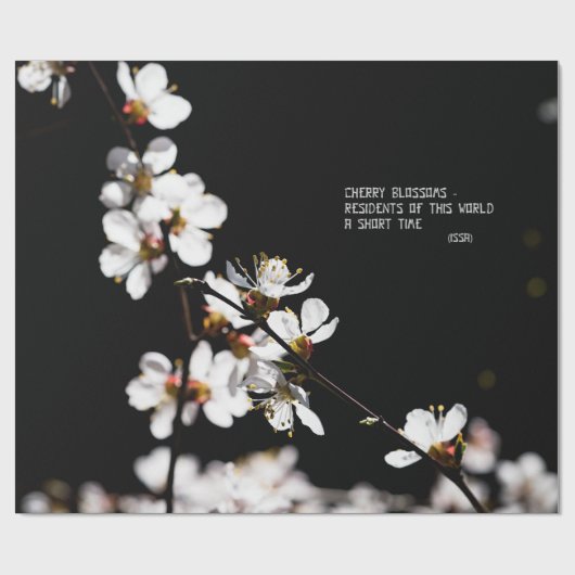 Sakura-Blume Geschenkpapier (Flach)