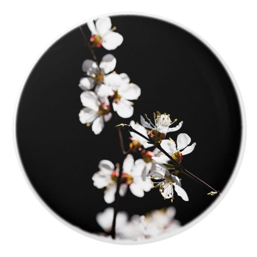 Sakura-Blume Keramikknauf (Vorderseite)