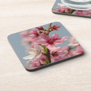 Sakura Blume, rosa japanische Blume Getränkeuntersetzer