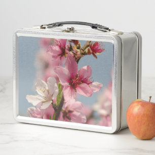 Sakura Blume, rosa japanische Blume Metall Brotdose