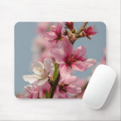 Sakura Blume, rosa japanische Blume Mousepad (Mit Mouse)