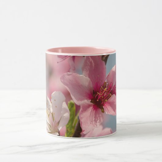 Sakura Blume, rosa japanische Blume Tasse (Zentrum)