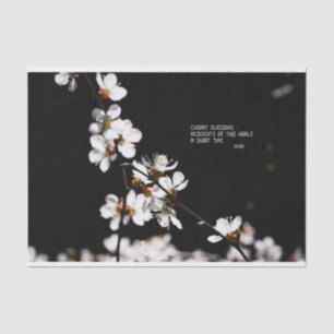 Sakura-Blume Seidenpapier