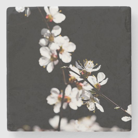 Sakura-Blume Steinuntersetzer (Vorderseite)