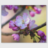 Sakura Blume und Buds im Baumschatten Geschenkpapier (Flach)