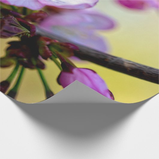 Sakura Blume und Buds im Baumschatten Geschenkpapier (Ecke)