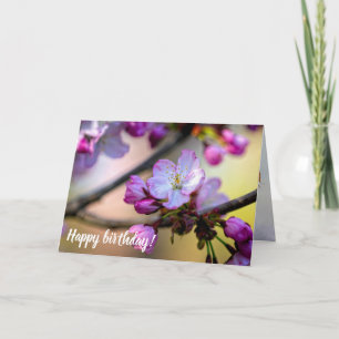 Sakura Blume und Buds im Schatten eines Baumes Karte