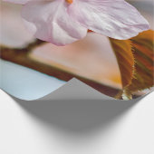 Sakura-Blume und Orangefarbene Blätter im Frühjahr Geschenkpapier (Ecke)