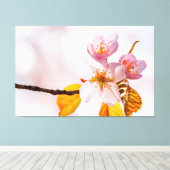 Sakura Blume und weich rosa Hintergrund des Frühli Leinwanddruck (Insitu (Holzboden))