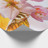 Sakura Blume und weich rosa Hintergrund Geschenkpapier (Ecke)