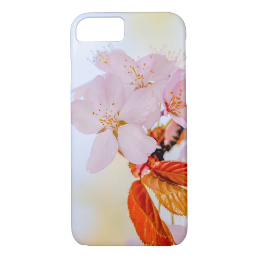 Sakura - Blüte der japanischen Kirsche Case-Mate iPhone Hülle (Rückseite)