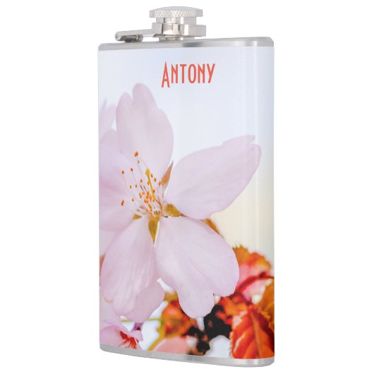 Sakura - Blüte der japanischen Kirsche Flachmann (Links)