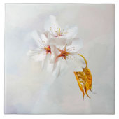 Sakura - Blüte der japanischen Kirsche Fliese (Vorderseite)