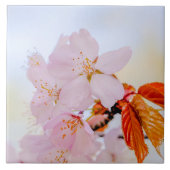 Sakura - Blüte der japanischen Kirsche Fliese (Vorderseite)