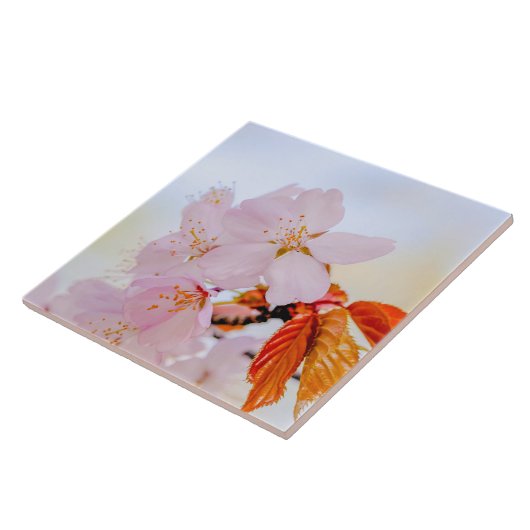 Sakura - Blüte der japanischen Kirsche Fliese (Seite)
