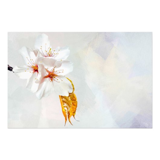 Sakura - Blüte der japanischen Kirsche Fotodruck (Vorne)