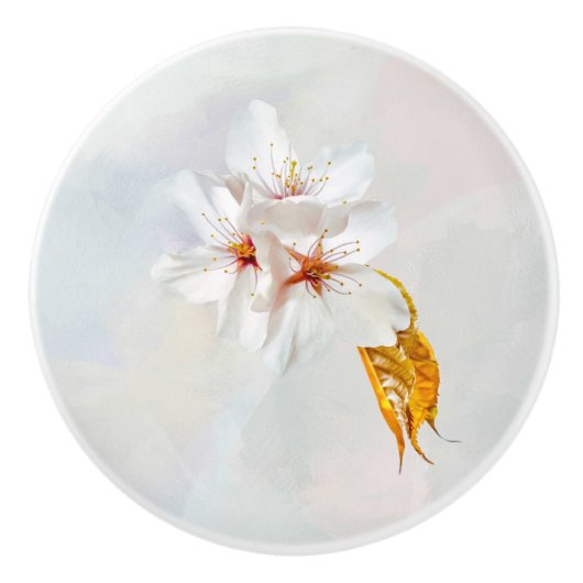 Sakura - Blüte der japanischen Kirsche Keramikknauf (Vorderseite)