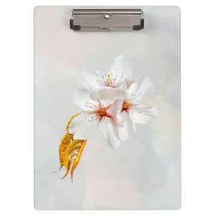 Sakura - Blüte der japanischen Kirsche Klemmbrett