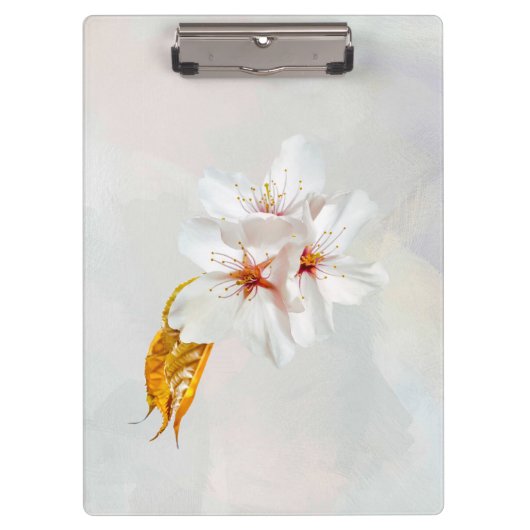 Sakura - Blüte der japanischen Kirsche Klemmbrett (Vorderseite)