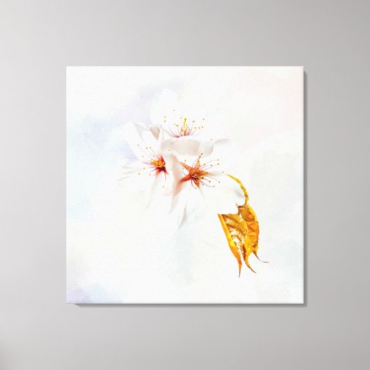 Sakura - Blüte der japanischen Kirsche Leinwanddruck (Vorderseite)