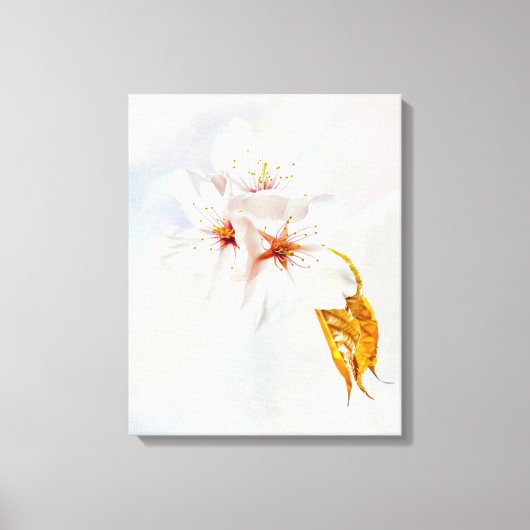Sakura - Blüte der japanischen Kirsche Leinwanddruck (Vorderseite)