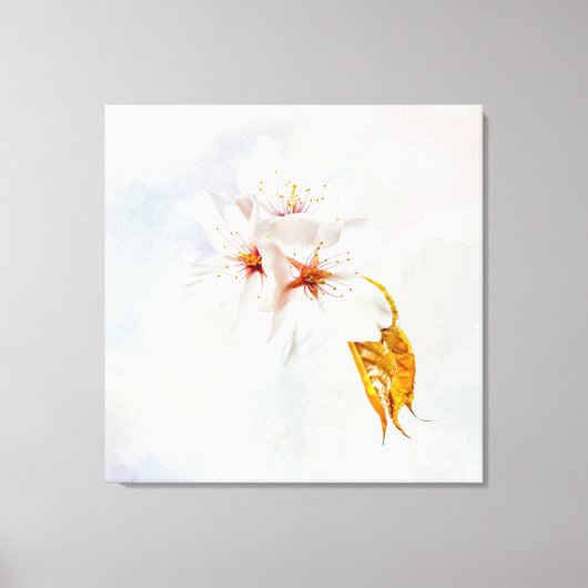 Sakura - Blüte der japanischen Kirsche Leinwanddruck (Vorderseite)