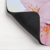 Sakura - Blüte der japanischen Kirsche Mousepad (Ecke)