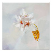 Sakura - Blüte der japanischen Kirsche Poster (Vorderseite)