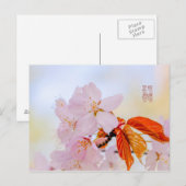 Sakura - Blüte der japanischen Kirsche Postkarte (Vorne/Hinten)