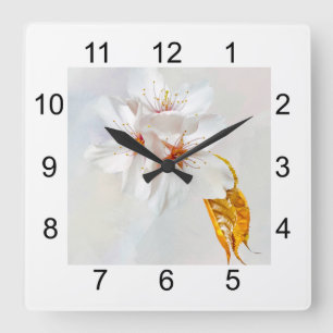 Sakura - Blüte der japanischen Kirsche Quadratische Wanduhr