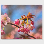Sakura Buds sind bereit zu öffnen und zu blühen Geschenkpapier (Flach)