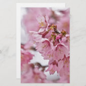 Sakura Cheroms Blüten Pink Briefpapier (Vorne/Hinten)