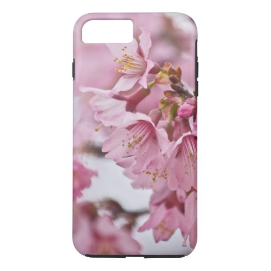 Sakura Cheroms Blüten Pink Case-Mate iPhone Hülle (Rückseite)