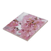 Sakura Cheroms Blüten Pink Fliese (Seite)