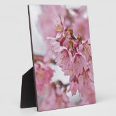 Sakura Cheroms Blüten Pink Fotoplatte (Seite)