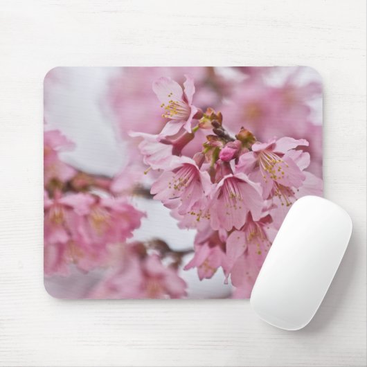 Sakura Cheroms Blüten Pink Mousepad (Mit Mouse)