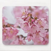 Sakura Cheroms Blüten Pink Mousepad (Vorne)