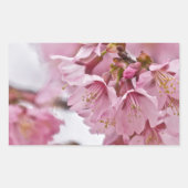 Sakura Cheroms Blüten Pink Rechteckiger Aufkleber (Vorderseite)