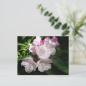 Sakura Cherry Blossom #2 Postkarte (Stehend Vorderseite)
