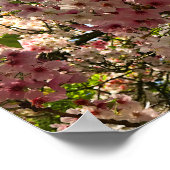 Sakura Cherry Blossom #3 Poster (Ecke)