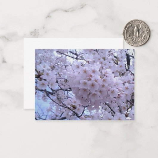Sakura Cherry Blossom Mitteilungskarten (Vorderseite/Rückseite Beispiel)