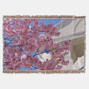 Sakura Cherry Blossoms Americana Decke