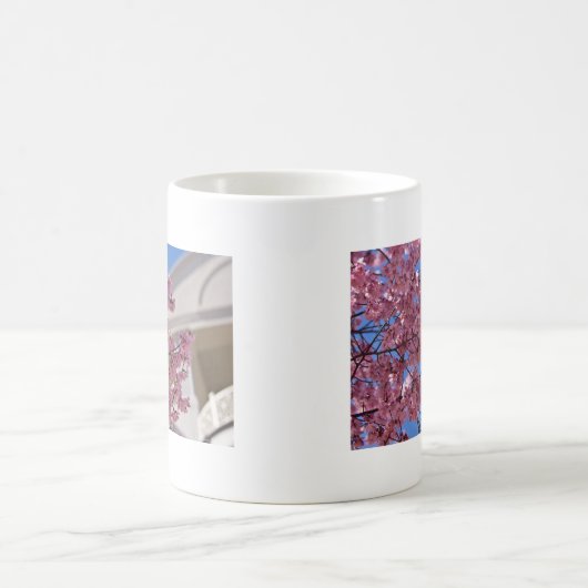 Sakura Cherry Blossoms Americana Kaffeetasse (Mittel)